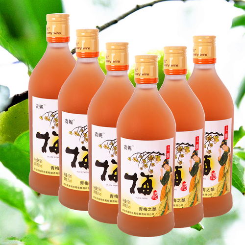 二瓶 貴妮楊梅酒青梅酒藍(lán)莓酒 鮮果之釀果酒