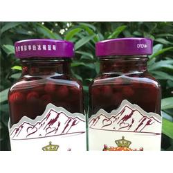 1255藍(lán)莓果汁廠家 1255藍(lán)莓果汁 德飲德國(guó)啤酒