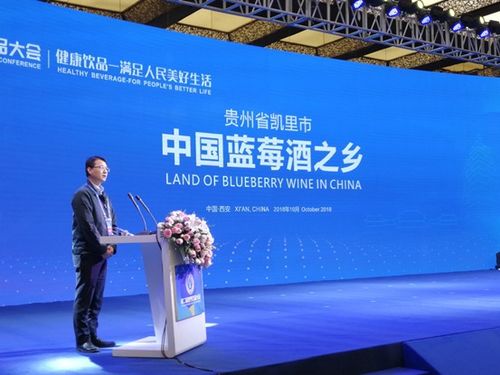 第2屆世界飲品大會閉幕 中國藍莓酒之鄉(xiāng) 中國柿酒之鄉(xiāng) 授牌