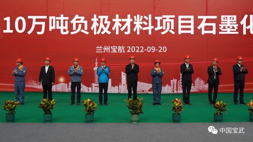 寶武碳業十萬噸負極材料項目獲重要進展，新材料技術研發引領鋰離子電池行業發展
